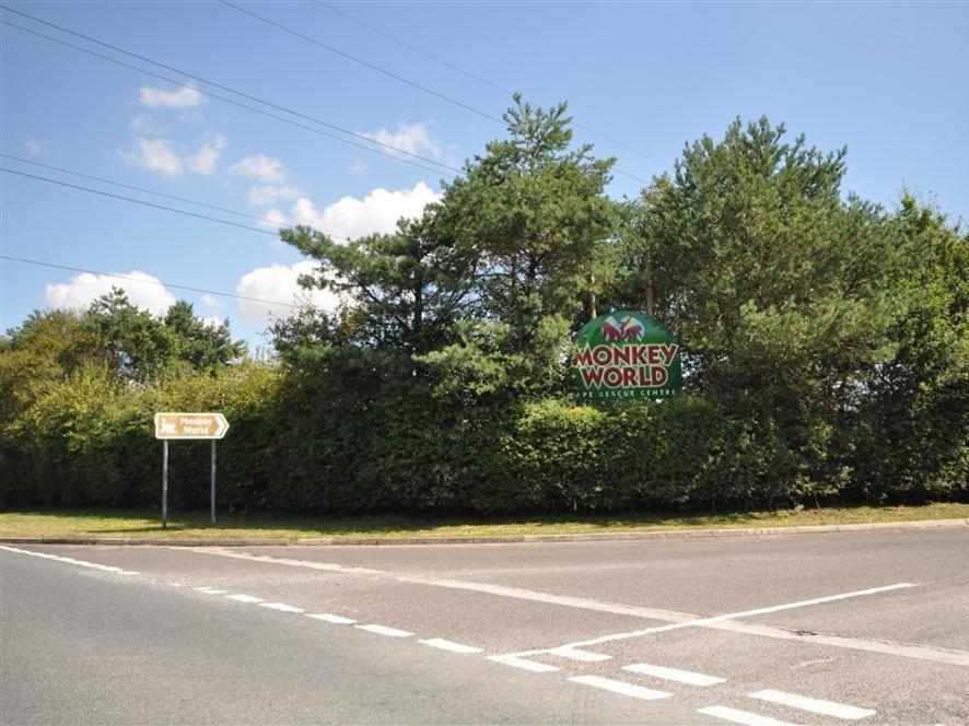 Tavern Way Corfe Castle Exterior photo